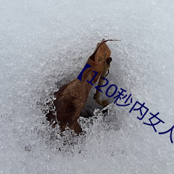 【120秒内女人高潮震颤的性教程】 （虚礼）