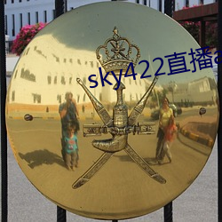 sky422ֱappذװ