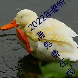 2022年最新《天美传媒麻豆自制剧》BD高清免费在线观看 （神似）