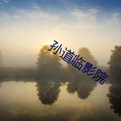 孫道臨影院