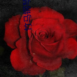 竹马(馬)钢琴师