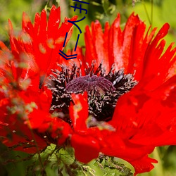 《二人(rén)扑克剧(jù)烈运动视频(pín)教程(chéng)》完整版免费在线(xiàn)观(guān)看(kàn)