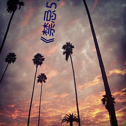 《禁忌5》美國