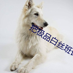 把极品白丝班长啪到腿软