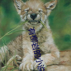 有柳岩的小说
