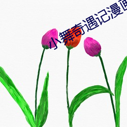 小舞奇遇记(jì)漫画3d免(miǎn)费(fèi)读
