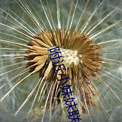 附近小妹妹聯系電話