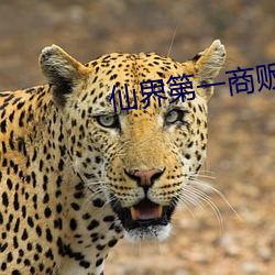仙界第一(yī)商贩