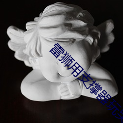 雷獅用支撐器玩哭安迷修擴