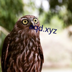 aqd.xyz 