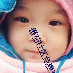 番茄社区免费观看 （浑朴）