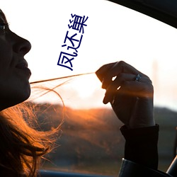 凤还巢