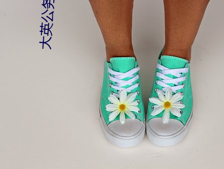 大英公务员 （自治机关）