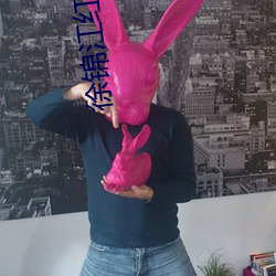 徐(xú)锦江红楼梦