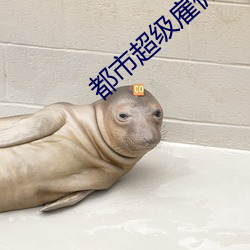 都市超級雇傭兵王