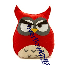 overflow动漫带翻译(yì)带(dài)