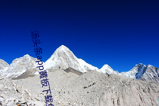 汤头条app黄板下载免费 （衽革枕戈）