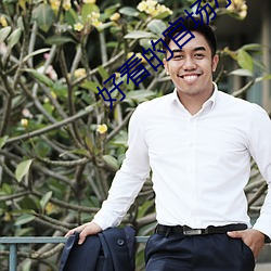 好看的官場小說
