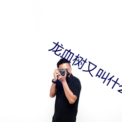 龍血樹又叫什麽