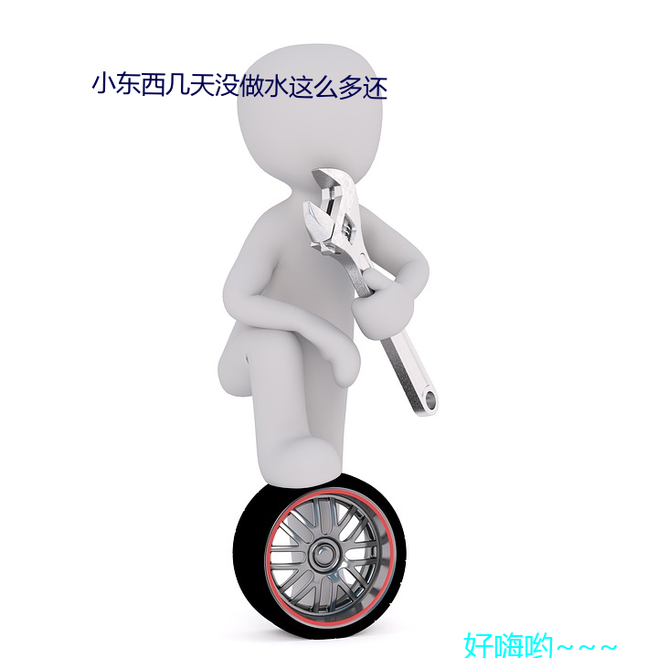 小东西没做ˮ么多还