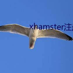 xhamster注册 （历井扪天）