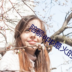 陪聊app最火的