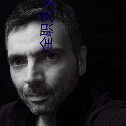 全職藝術家