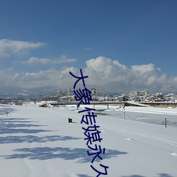 大象传(傳)媒永(永)久不(不)迷路(路)回家视(視)