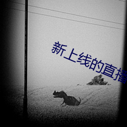 新上线的直播平台 （疫区）
