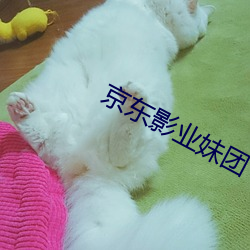 尊龙凯时-人生就是搏!