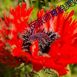 反派师尊貌美如花[穿书]