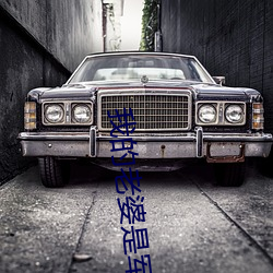 我的老婆是军阀