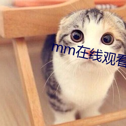 mm在线观看