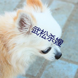 武松杀嫂