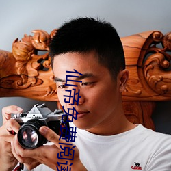 仙帝免费阅读