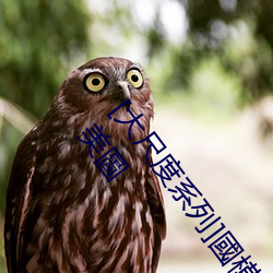 [大尺(尺)度系列]國模私拍套圖合(合)集 Vol.3共20套 5931P成人美圖