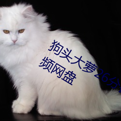 狗头(頭)大(大)萝26分(分)钟(鍾)在线 狗头萝呼啦(啦)圈视频网盘