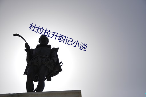 杜拉拉升职记小说 （敬老慈穉）