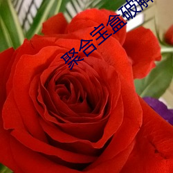 聚合宝盒破解版直播app盒子