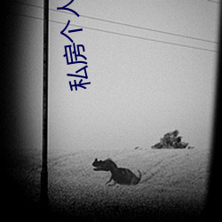 私房个人(人)写(寫)真