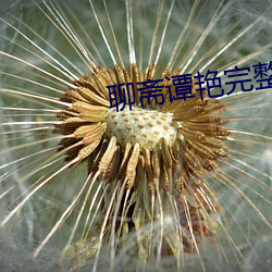 聊齋譚豔完整版觀看