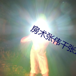 房术张伟干张琪