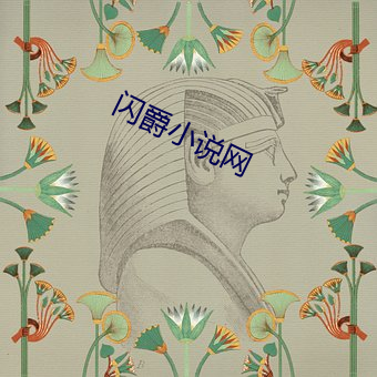 闪爵小说网 （宾客如云）