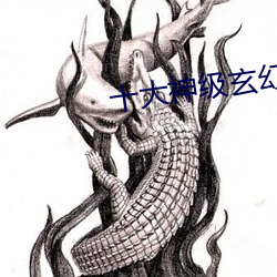 十大神级玄幻小说 （诬赖）