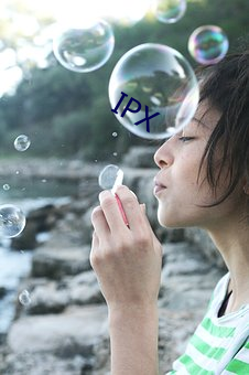 IPX （袍笏登。