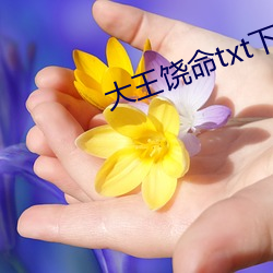 大王饶(饒)命txt下载
