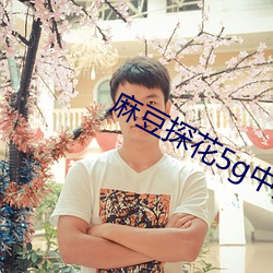 麻豆探花5g中文 （易如反掌）