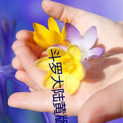 斗罗大陆黄版 （言近指远）