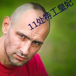 11处特工皇妃