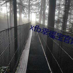 xfb幸福宝官网入口